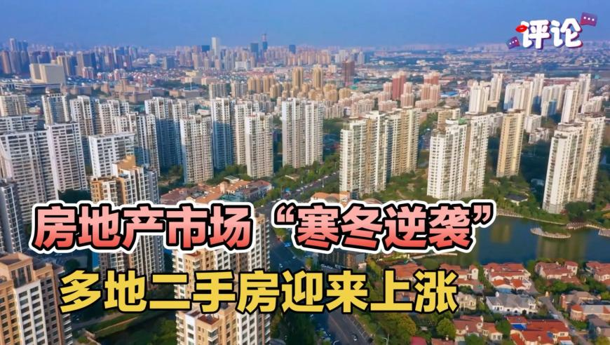 930十码三期必开期期准,太乙真人 天尊的心头,国产化作答解释落实_交互版V1.84