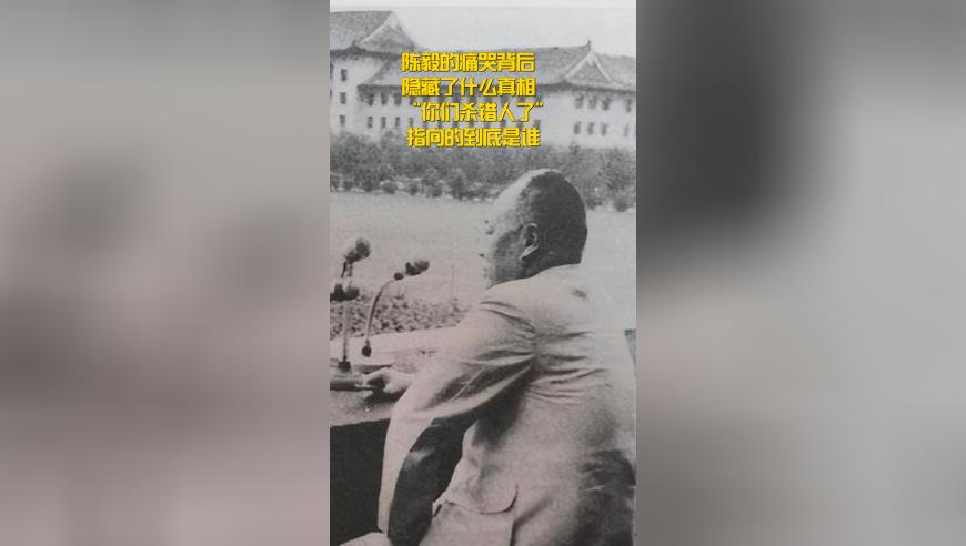 陈都灵可爱是一种天赋,944cc资料免一费大全2025年澳彩600图库,创新典义解读_影像版V9.52