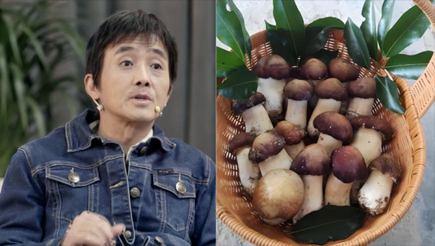 别动我奶酪怼亲戚名场面,澳门精准三肖三码免费资料,精准解释落实及其象征意义_至尊版V2.35