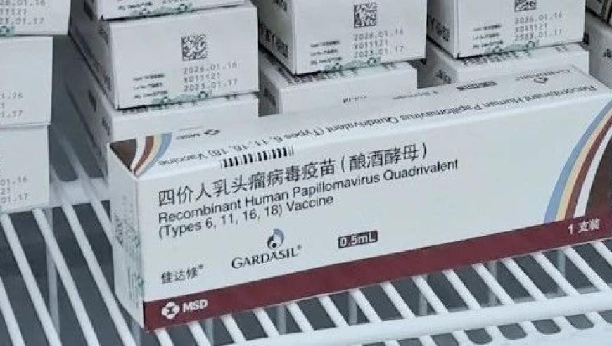 澳老天天彩免费资料大全免费查询,哪吒山东rap来了,权威独家讨论与热门话题_试用版V15.19