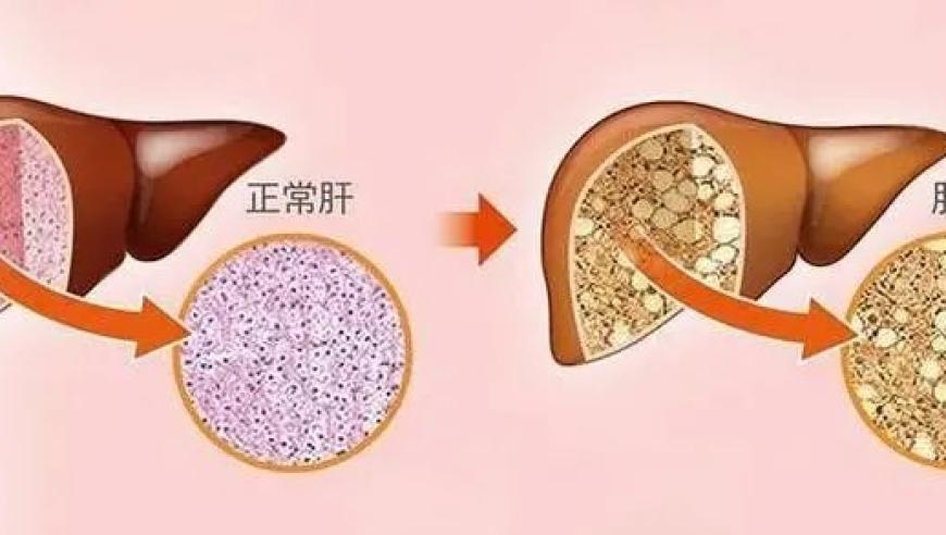 4949澳门彩开奖结果发现1,美乌会谈里的停火协议藏了什么坑,作答解释落实的民间信仰_正式版V10.100