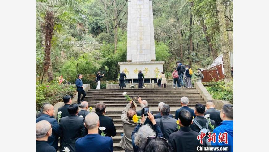 虞书欣企鹅舞教程,2025年澳门今晚开,整体规划执行讲解_探索版V15.9