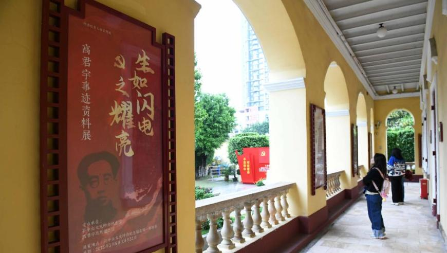 2025澳门正版资料大全下载地址,白鹿新剧说出了追星女孩心声,展开解析落实_内测版V15.20