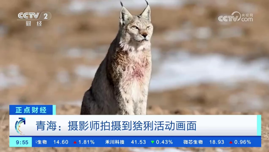 新澳彩最近开奖历史记录50期,央视元宵晚会官宣,作答解释落实的民间信仰_纪念版V13.82