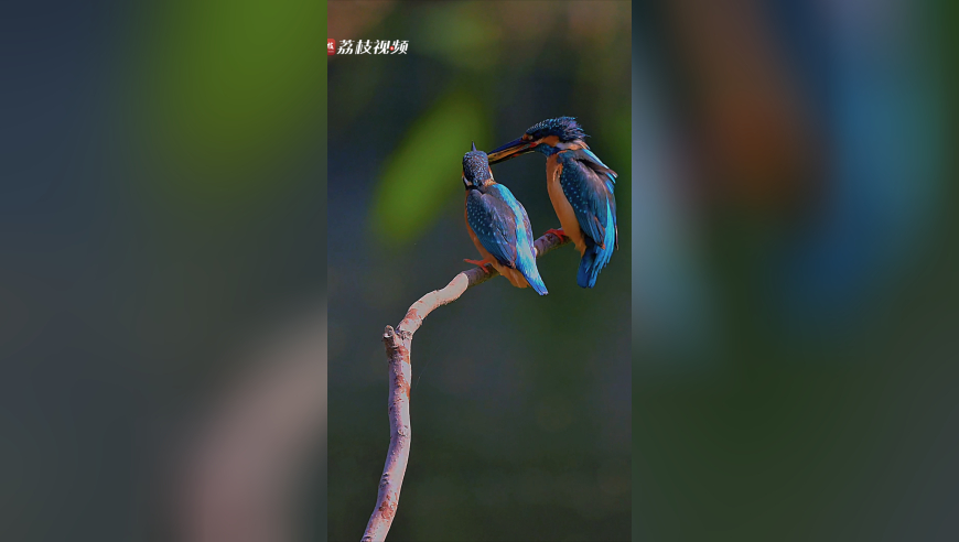 777788888管家婆网站,男子开网约车半月到手仅400元,收益成语分析落实_精英版V9.13