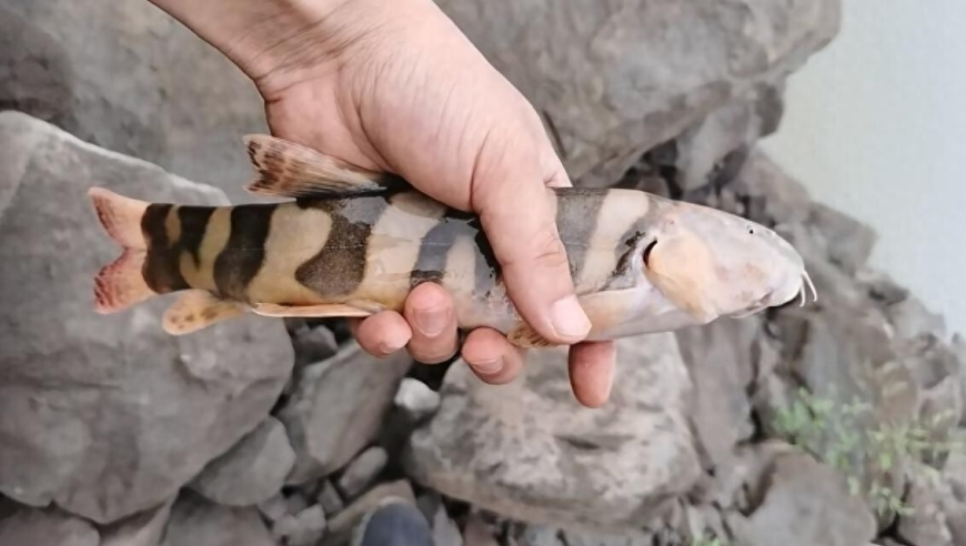 45岁后女性要知道这些,2025年澳门开奖号码,整体规划执行讲解_至尊版V12.12